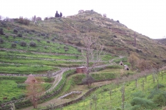 Interventi di ingegneria naturalistica