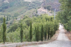 La via dei cipressi