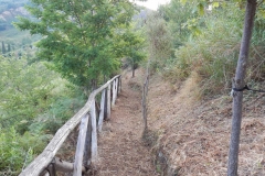 DSCN0587