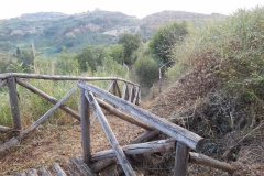 Percorso panoramico