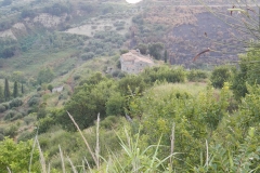 dscn0590