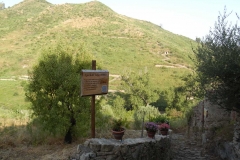 Il giacato