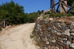 Pantano-17-7-15_080