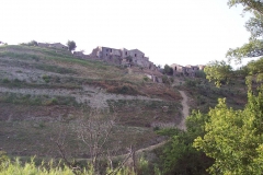 8-luglio-015