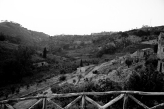 IMG_8895
