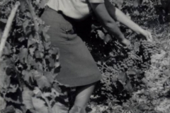 clip_image003