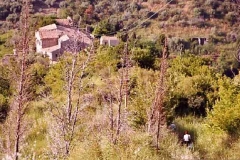 borgo_2003014