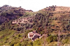 borgo_2003015