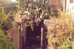 borgo_2003021