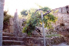 borgo_2003054