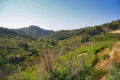 borgo_2007007