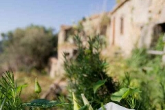 borgo_2007013