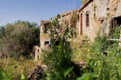 borgo_2007014