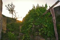 borgo_2007023
