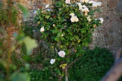 borgo_2007024