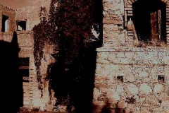 radici_memoria2003001