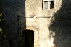 radici_memoria2003003