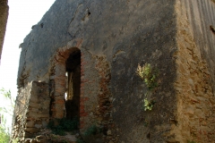 radici_memoria2003004