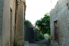 radici_memoria2003009