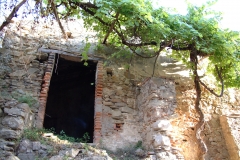 radici_memoria2003010