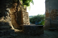 radici_memoria2003011