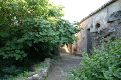 radici_memoria2003012