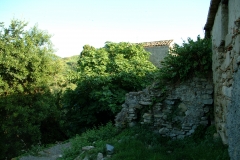 radici_memoria2003013