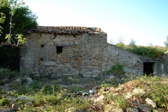 radici_memoria2003015