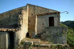 radici_memoria2003016