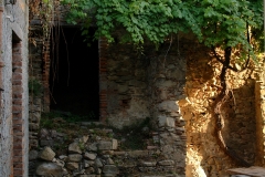 radici_memoria2003018