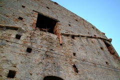 radici_memoria2003024