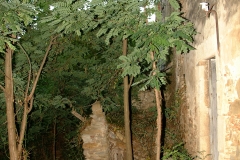 radici_memoria2003025