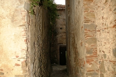 radici_memoria2003026