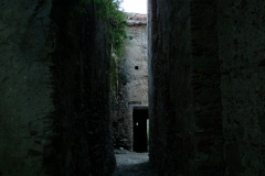 radici_memoria2003027
