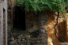 radici_memoria2005003