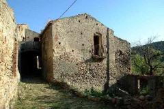 radici_memoria2005004