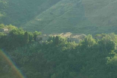 radici_memoria2005006
