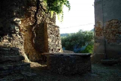 radici_memoria2005007