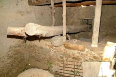 radici_memoria2005009