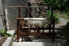 radici_memoria2005017