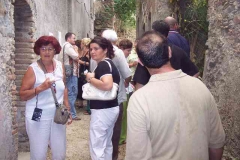 radici_memoria2006005