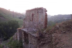 radici_memoria2006008