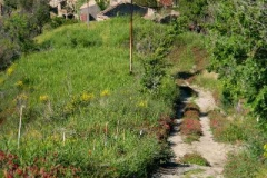 radici_memoria2007009