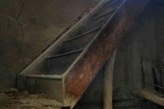 radici_memoria2007010
