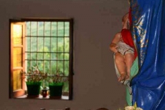 radici_memoria2007013
