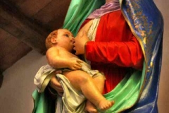 radici_memoria2007019
