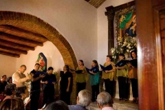 radici_memoria2008005