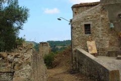 radici_memoria2009013