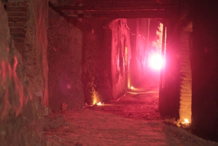 radici_memoria201025