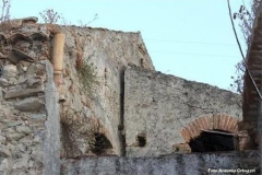 radici_memoria201001